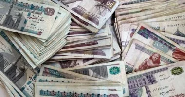 ارتفاع تمويل المشروعات الصغيرة والمتوسطة.. الذكور تستحوذ على 86% من المستفيدين