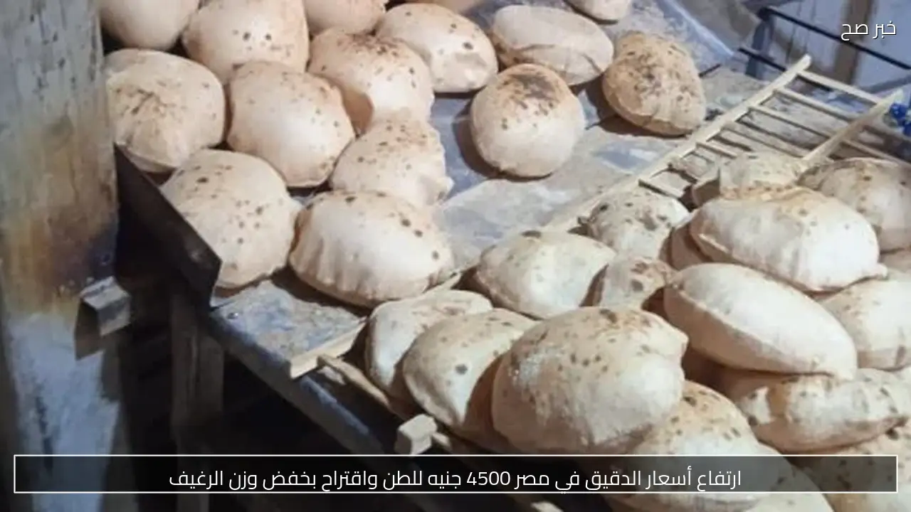 ارتفاع أسعار الدقيق في مصر 4500 جنيه للطن واقتراح بخفض وزن الرغيف