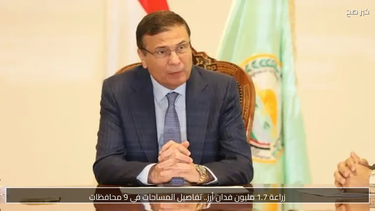 زراعة 1.7 مليون فدان أرز.. تفاصيل المساحات في 9 محافظات