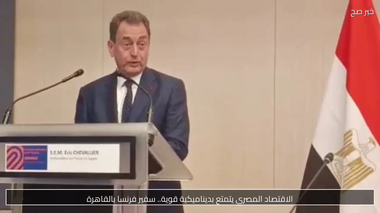 الاقتصاد المصري يتمتع بديناميكية قوية.. سفير فرنسا بالقاهرة