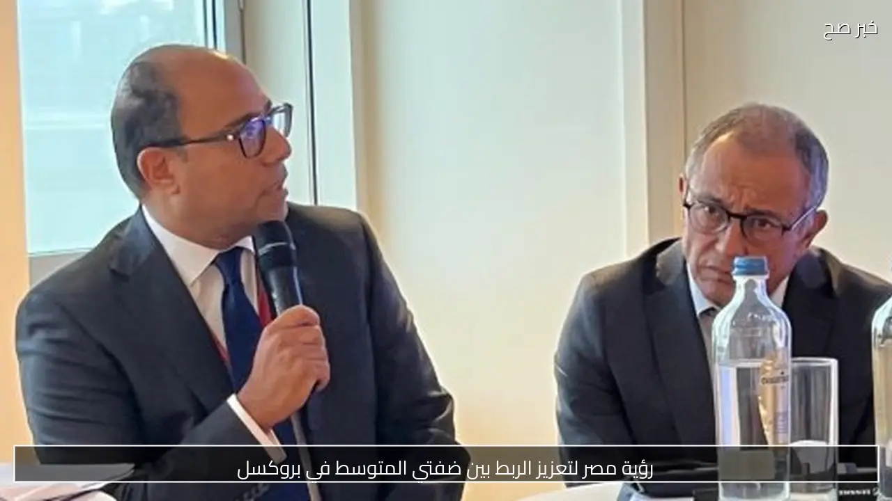 رؤية مصر لتعزيز الربط بين ضفتي المتوسط في بروكسل