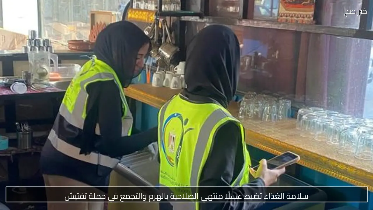 سلامة الغذاء تضبط عسلًا منتهي الصلاحية بالهرم والتجمع في حملة تفتيش
