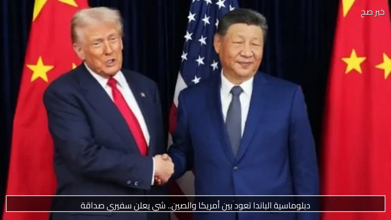 دبلوماسية الباندا تعود بين أمريكا والصين.. شي يعلن سفيري صداقة