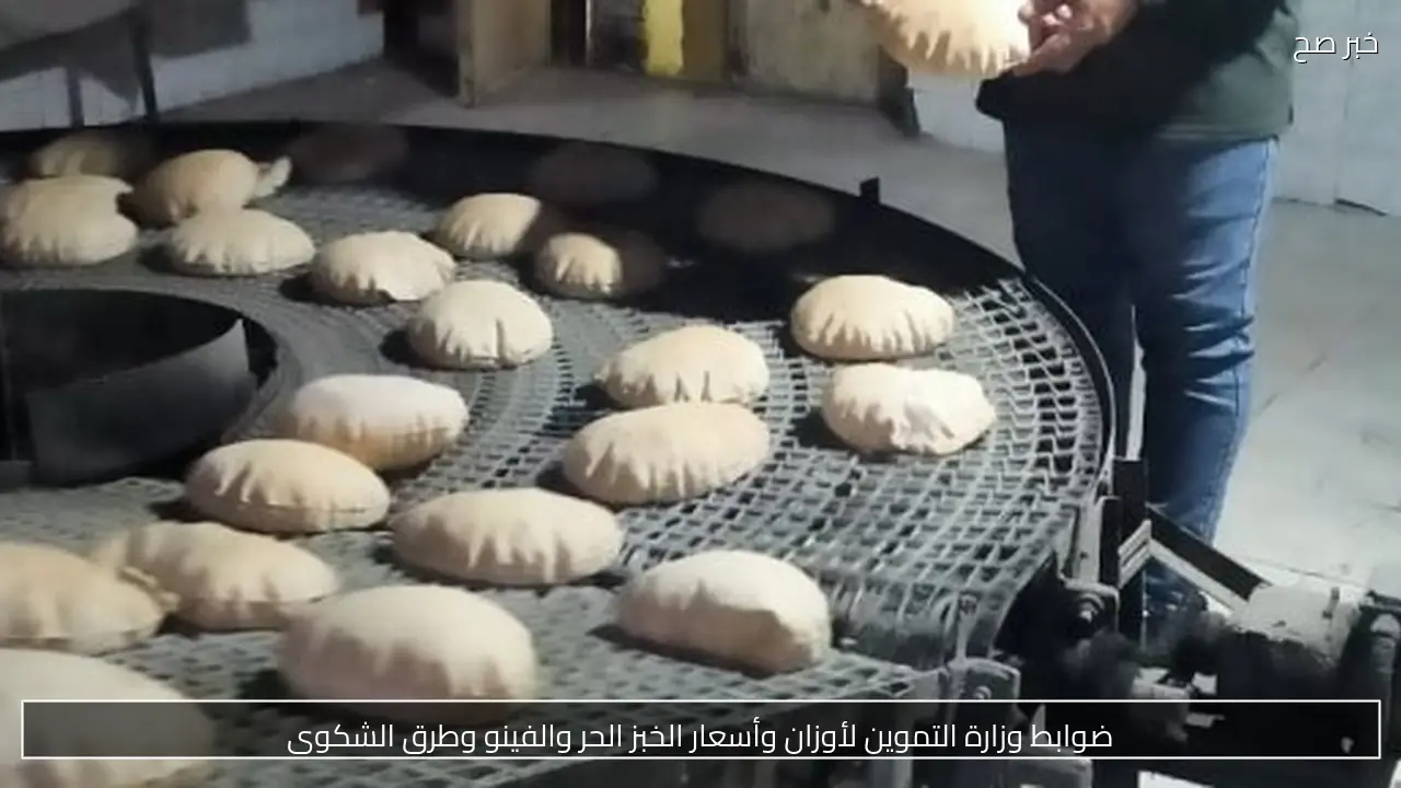 ضوابط وزارة التموين لأوزان وأسعار الخبز الحر والفينو وطرق الشكوى