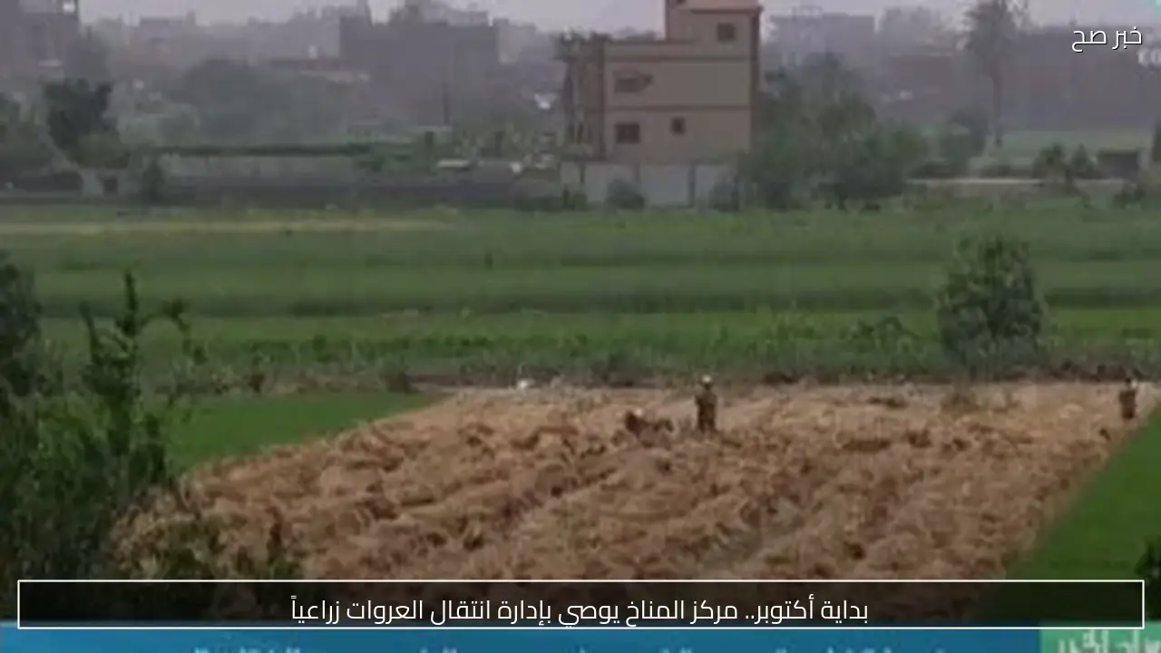 بداية أكتوبر.. مركز المناخ يوصي بإدارة انتقال العروات زراعياً