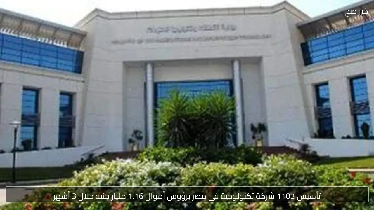 تأسيس 1102 شركة تكنولوجية في مصر برؤوس أموال 1.16 مليار جنيه خلال 3 أشهر