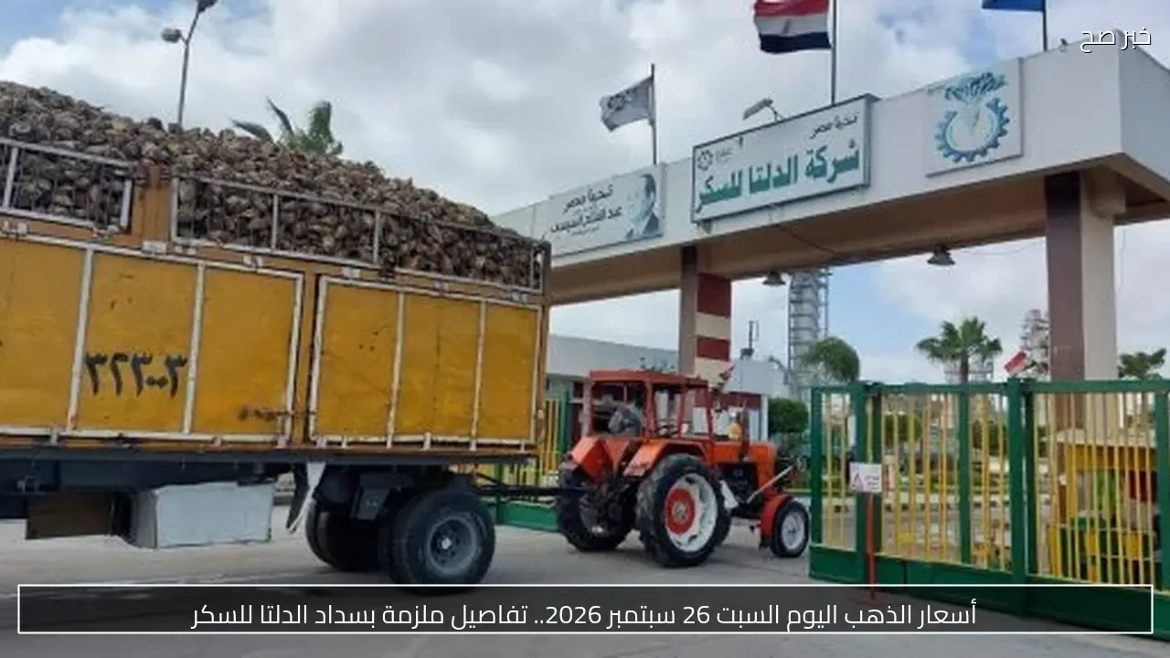 أسعار وملاحظات القوائم المالية لـ«الدلتا للسكر».. مخزون 9.684 مليار