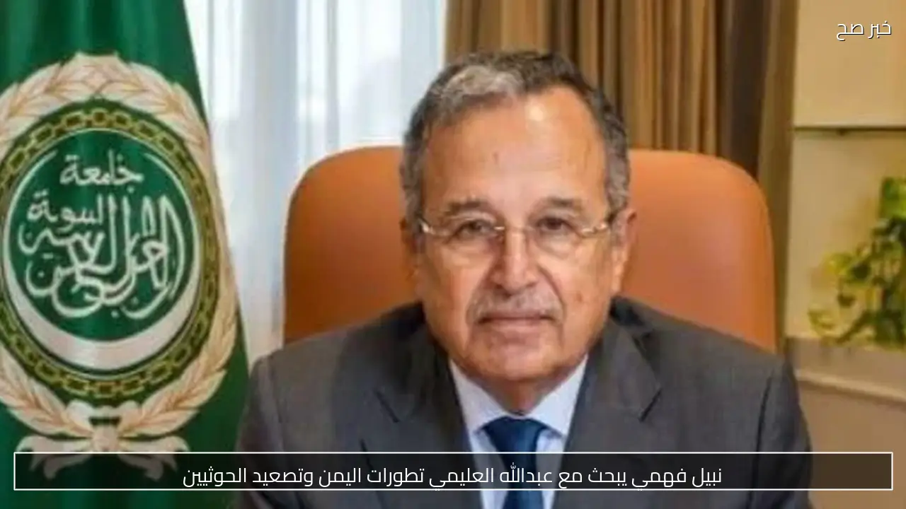 نبيل فهمي يبحث مع عبدالله العليمي تطورات اليمن وتصعيد الحوثيين