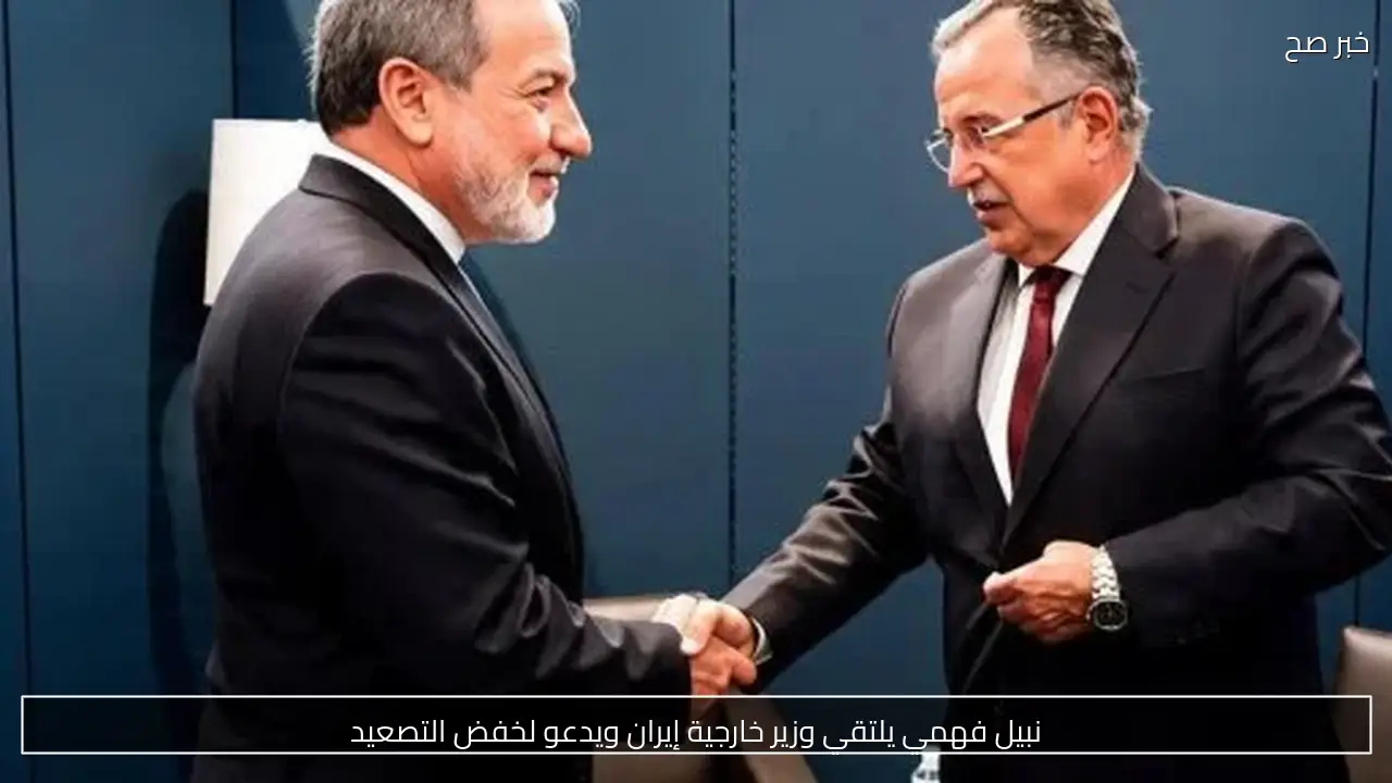 نبيل فهمي يلتقي وزير خارجية إيران ويدعو لخفض التصعيد