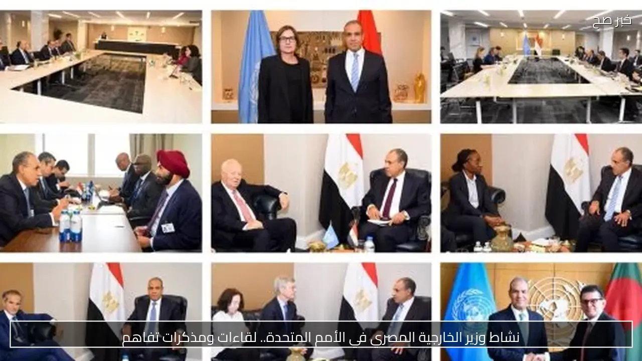 نشاط وزير الخارجية المصري في الأمم المتحدة.. لقاءات ومذكرات تفاهم