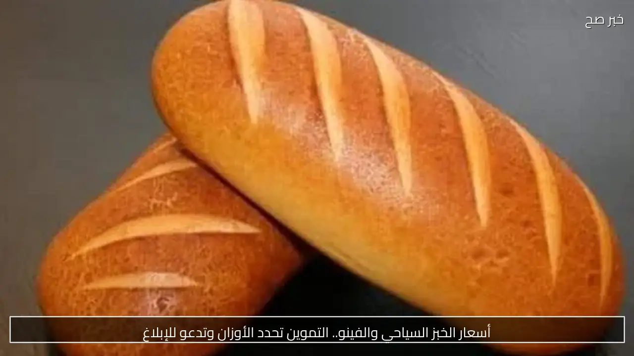 أسعار الخبز السياحي والفينو.. التموين تحدد الأوزان وتدعو للإبلاغ