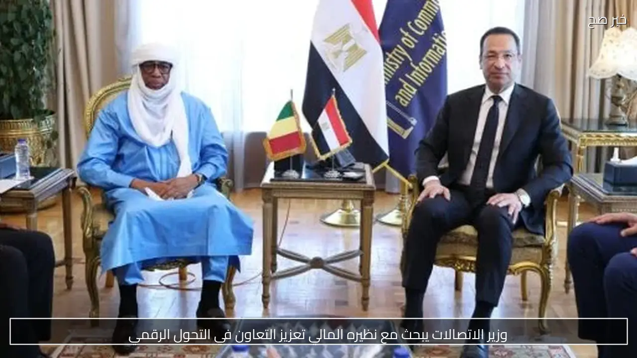 وزير الاتصالات يبحث مع نظيره المالي تعزيز التعاون في التحول الرقمي