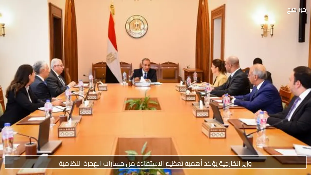 وزير الخارجية يؤكد أهمية تعظيم الاستفادة من مسارات الهجرة النظامية