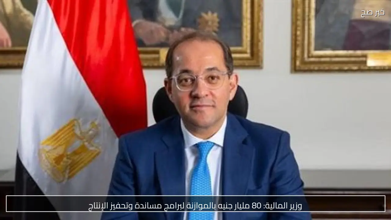 وزير المالية: 80 مليار جنيه بالموازنة لبرامج مساندة وتحفيز الإنتاج