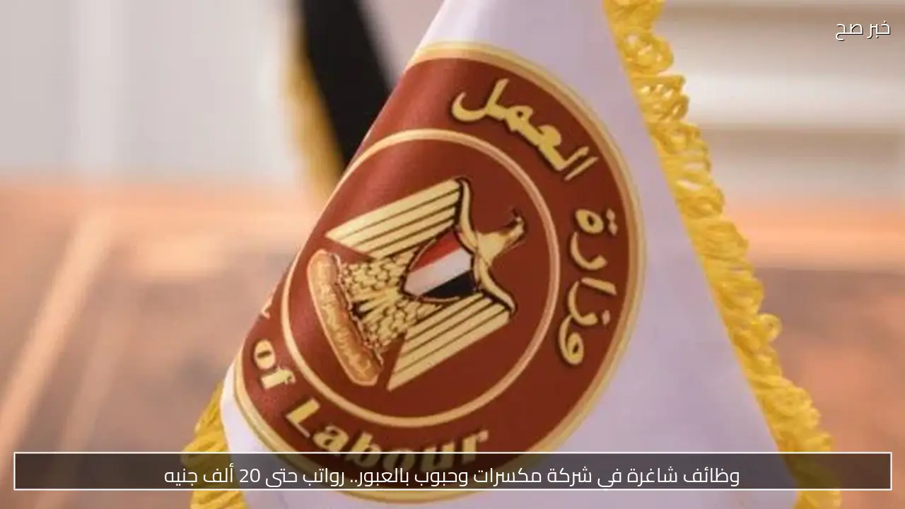 وظائف شاغرة في شركة مكسرات وحبوب بالعبور.. رواتب حتى 20 ألف جنيه