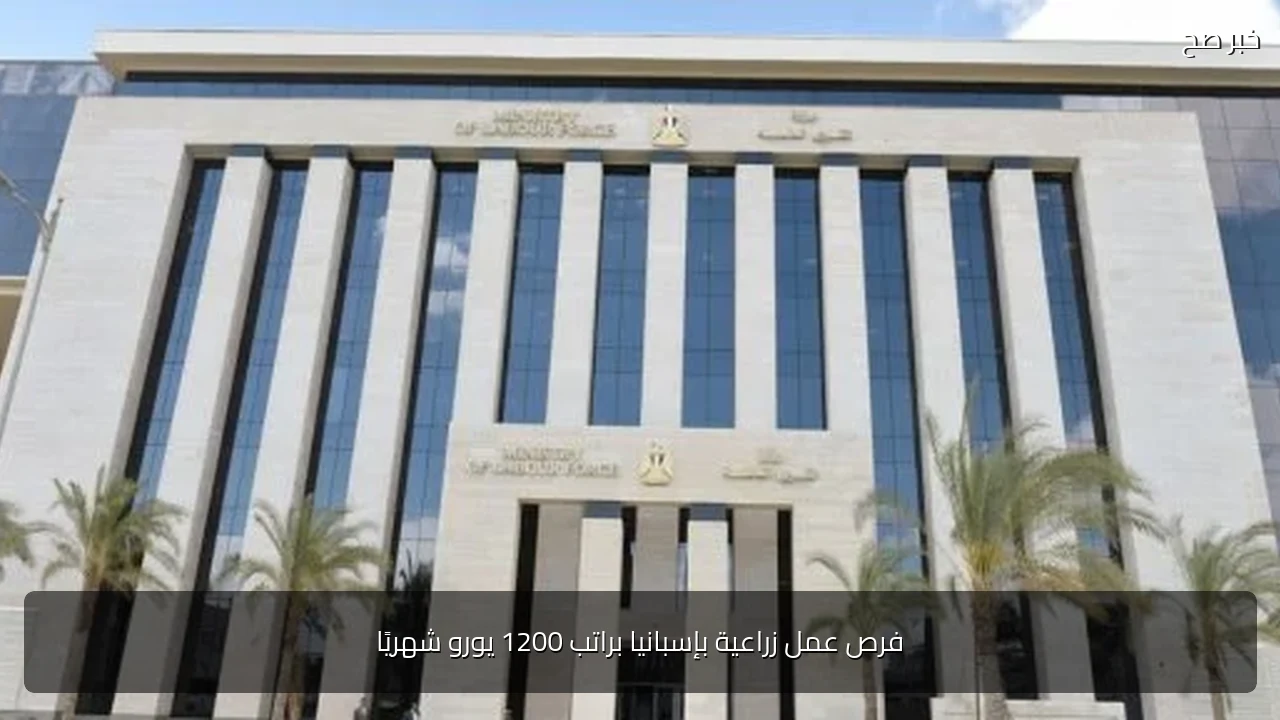 فرص عمل زراعية بإسبانيا براتب 1200 يورو شهريًا