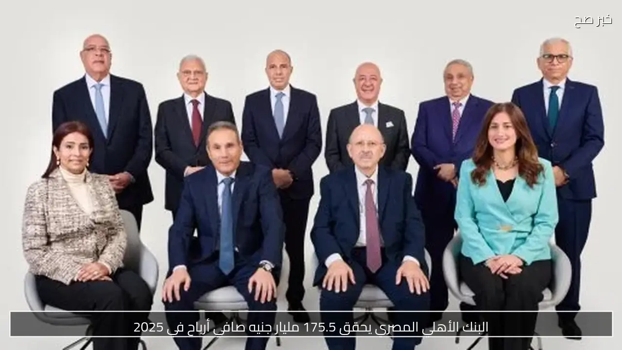 البنك الأهلي المصري يحقق 175.5 مليار جنيه صافي أرباح في 2025