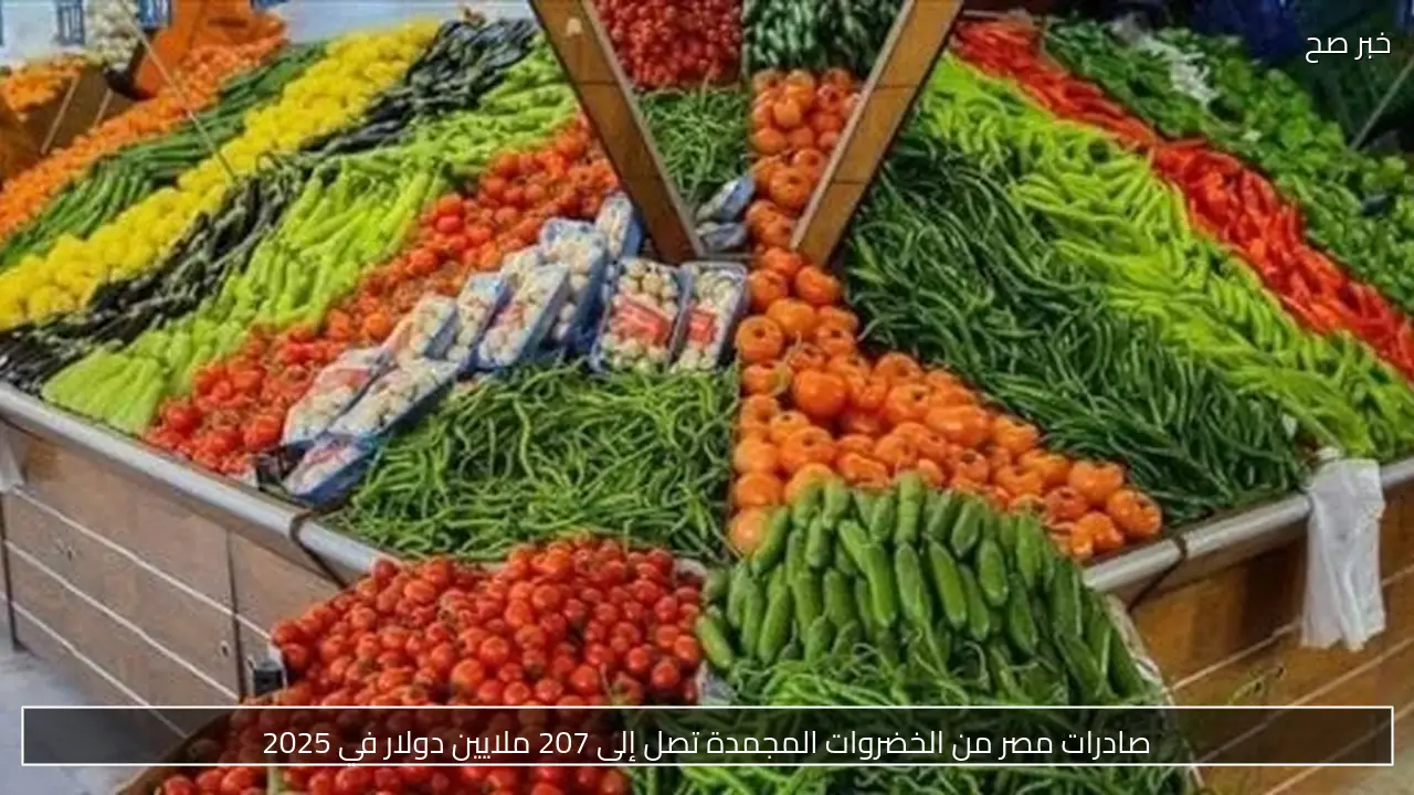 صادرات مصر من الخضروات المجمدة تصل إلى 207 ملايين دولار في 2025
