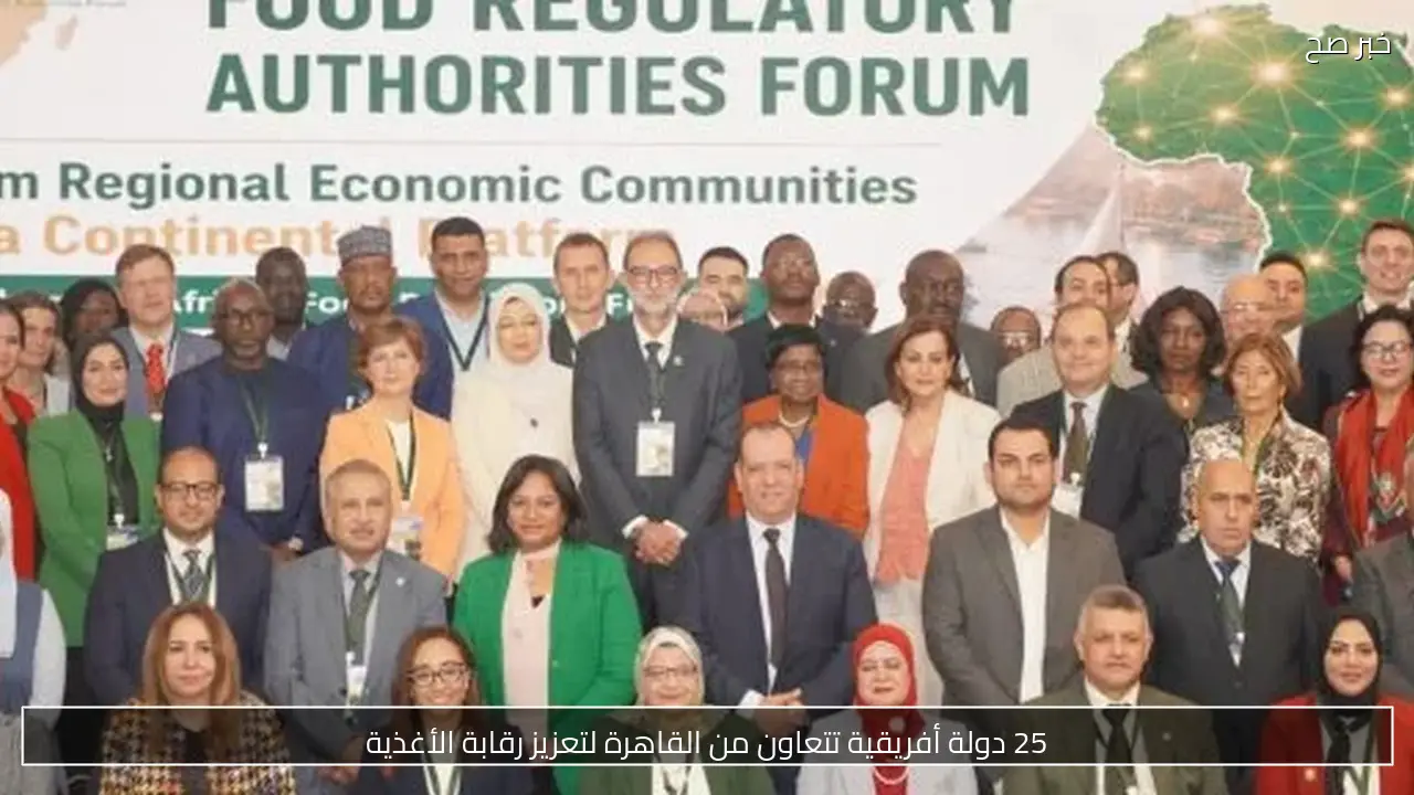 25 دولة أفريقية تتعاون من القاهرة لتعزيز رقابة الأغذية