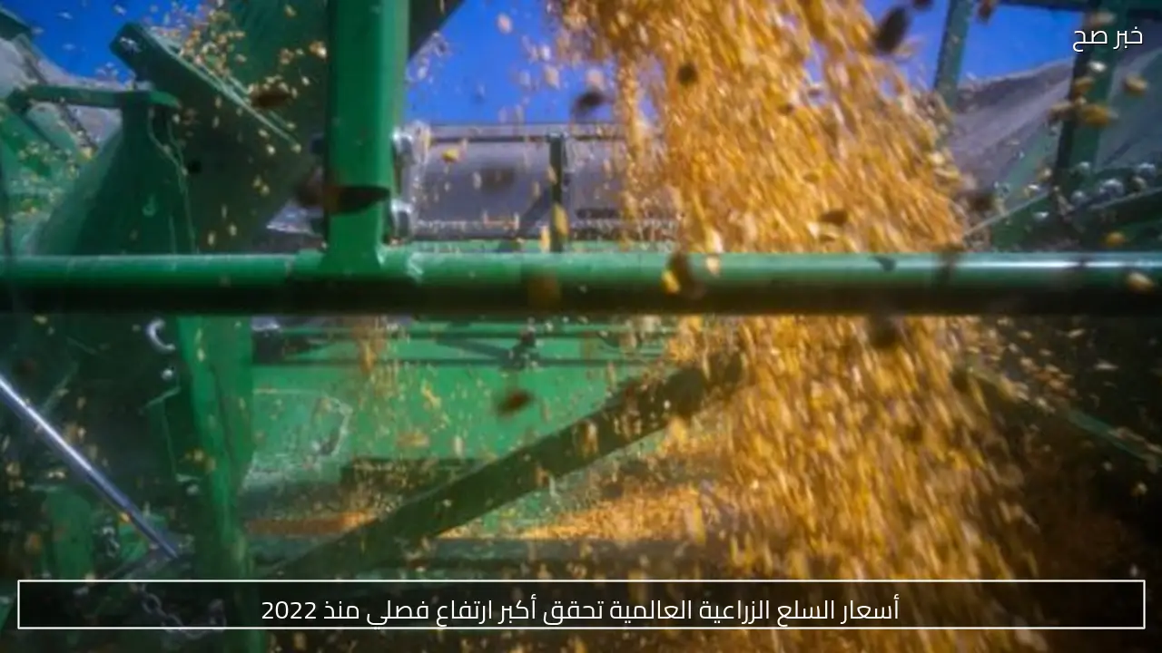 أسعار السلع الزراعية العالمية تحقق أكبر ارتفاع فصلي منذ 2022