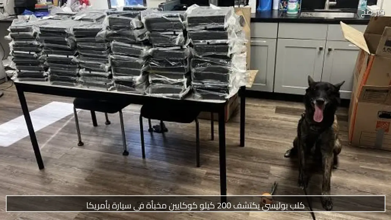 كلب بوليسي يكتشف 200 كيلو كوكايين مخبأة في سيارة بأمريكا