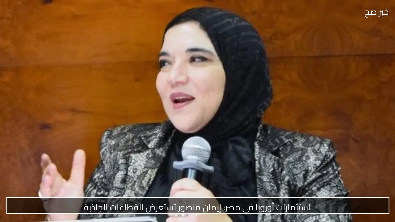 استثمارات أوروبا في مصر: إيمان منصور تستعرض القطاعات الجاذبة