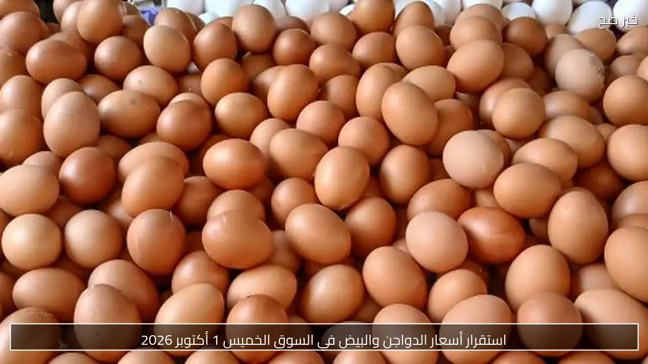 استقرار أسعار الدواجن والبيض في السوق الخميس 1 أكتوبر 2026