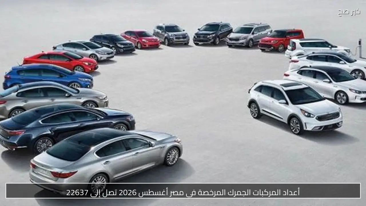 أعداد المركبات الجمرك المرخصة في مصر أغسطس 2026 تصل إلى 22637