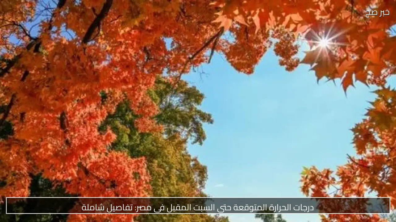 درجات الحرارة المتوقعة حتى السبت المقبل في مصر: تفاصيل شاملة