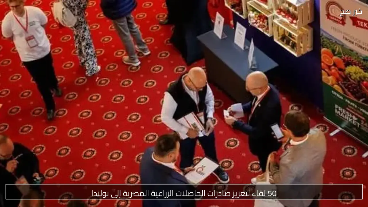 50 لقاء لتعزيز صادرات الحاصلات الزراعية المصرية إلى بولندا