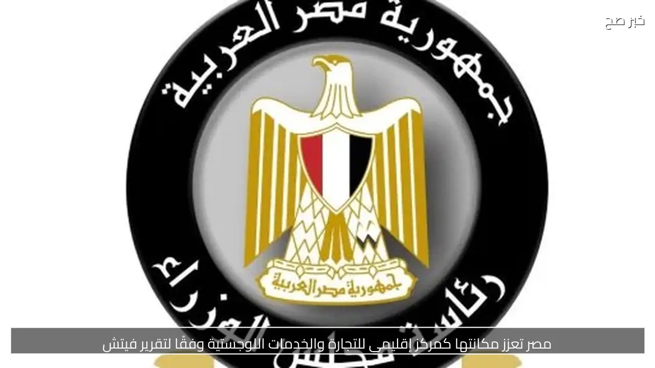 مصر تعزز مكانتها كمركز إقليمي للتجارة والخدمات اللوجستية وفقًا لتقرير فيتش