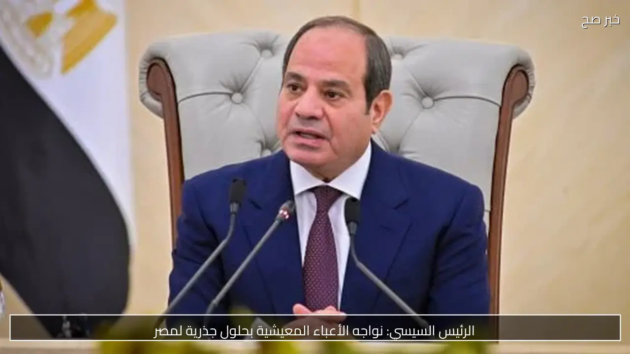 الرئيس السيسي: نواجه الأعباء المعيشية بحلول جذرية لمصر