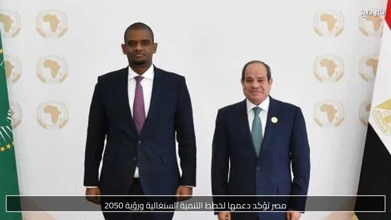 مصر تؤكد دعمها لخطط التنمية السنغالية ورؤية 2050
