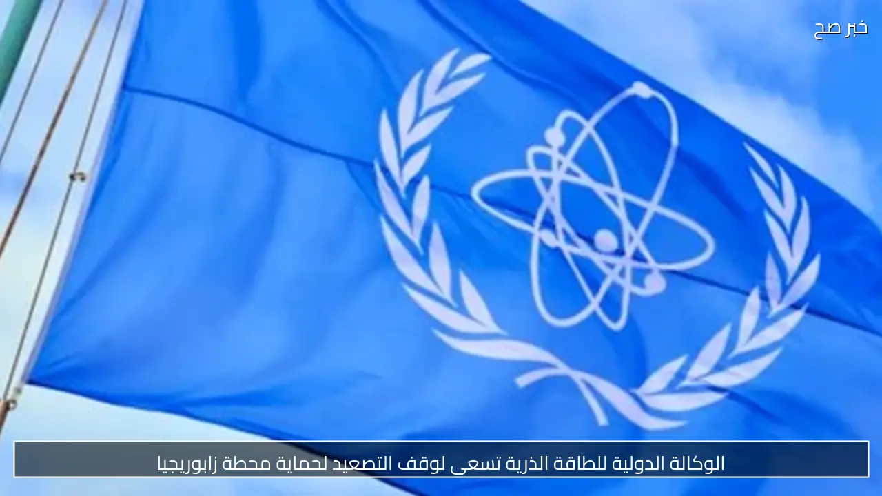 الوكالة الدولية للطاقة الذرية تسعى لوقف التصعيد لحماية محطة زابوريجيا
