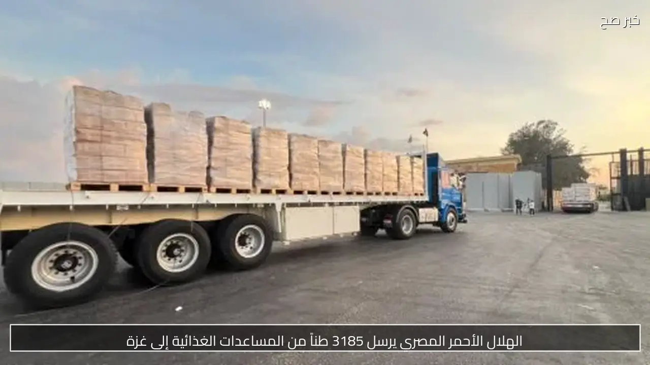 الهلال الأحمر المصري يرسل 3185 طناً من المساعدات الغذائية إلى غزة
