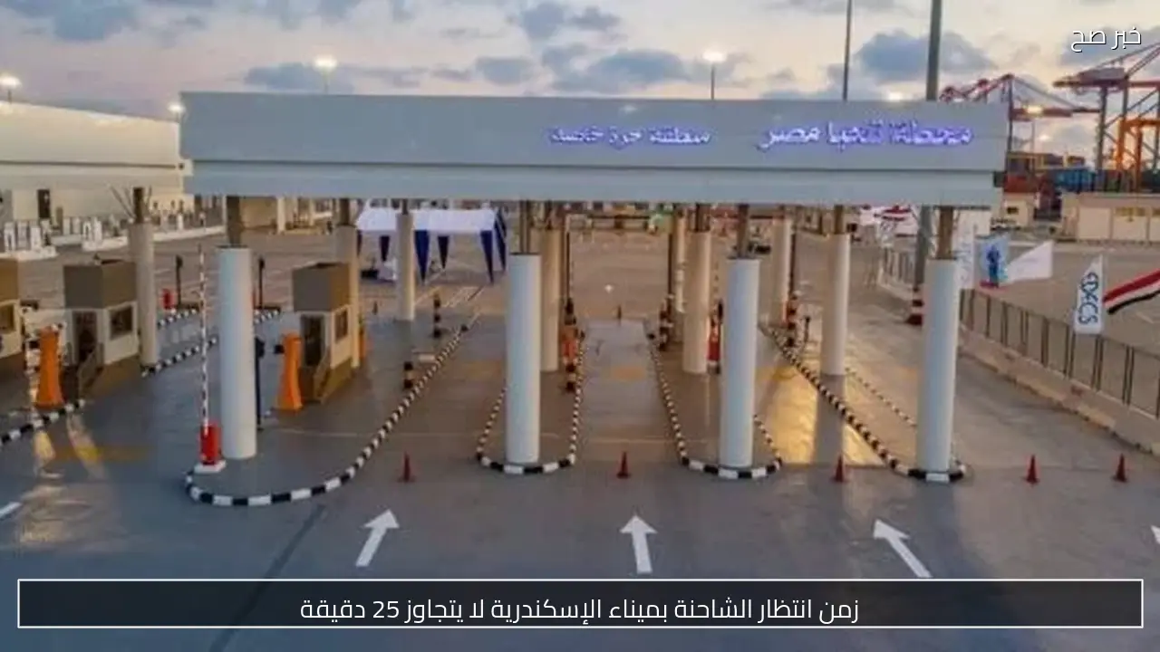 زمن انتظار الشاحنة بميناء الإسكندرية لا يتجاوز 25 دقيقة