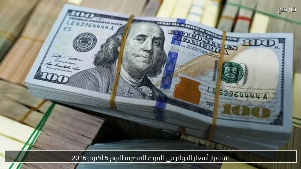 أسعار الدولار اليوم الجمعة 2 أكتوبر 2026 مقابل الجنيه في البنوك المصرية