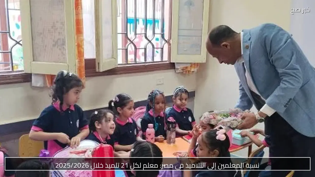 نسبة المعلمين إلى التلاميذ في مصر: معلم لكل 21 تلميذ خلال 2025/2026
