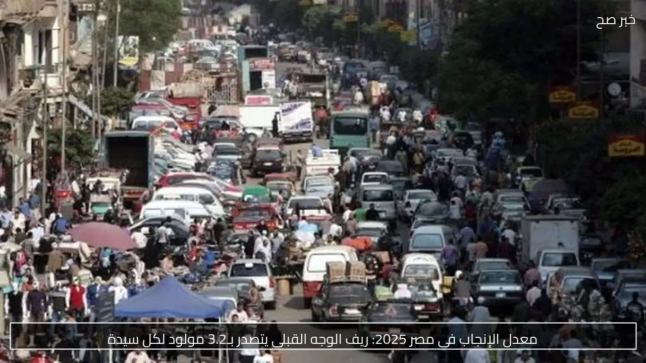 معدل الإنجاب في مصر 2025: ريف الوجه القبلي يتصدر بـ3.2 مولود لكل سيدة