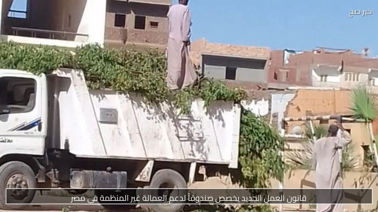 قانون العمل الجديد يخصص صندوقاً لدعم العمالة غير المنظمة في مصر