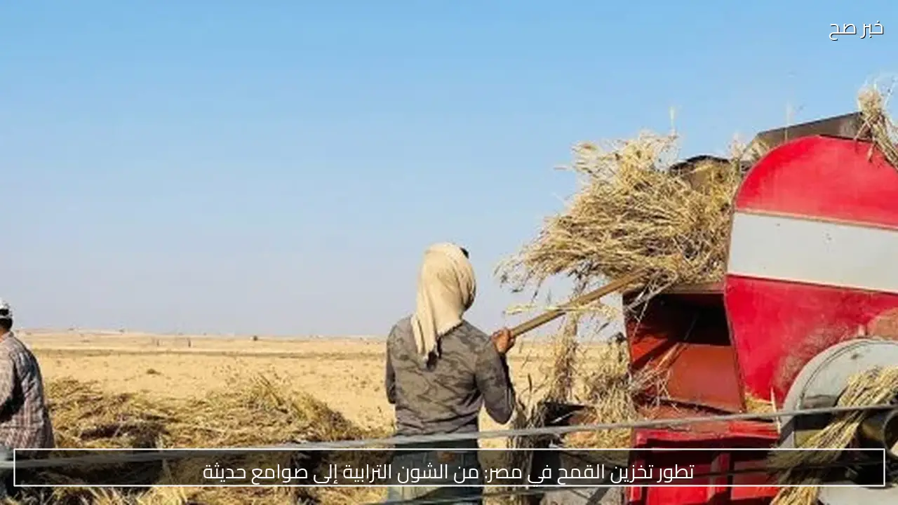 تطور تخزين القمح في مصر: من الشون الترابية إلى صوامع حديثة