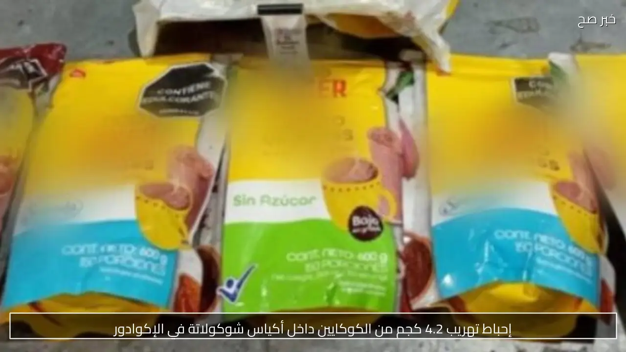 إحباط تهريب 4.2 كجم من الكوكايين داخل أكياس شوكولاتة في الإكوادور