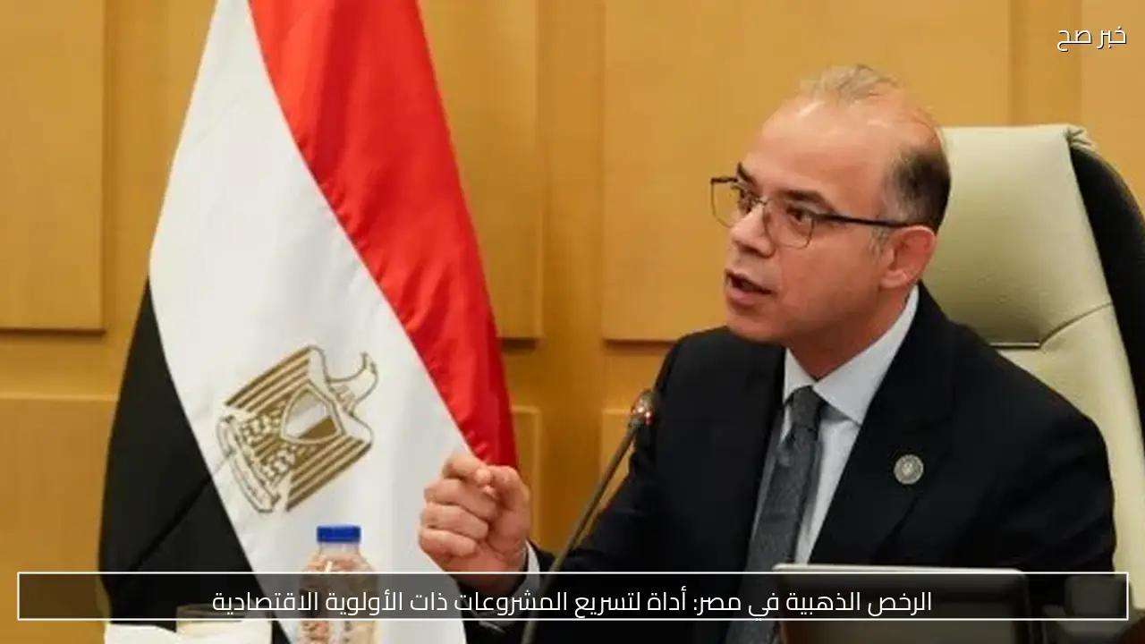الرخص الذهبية في مصر: أداة لتسريع المشروعات ذات الأولوية الاقتصادية