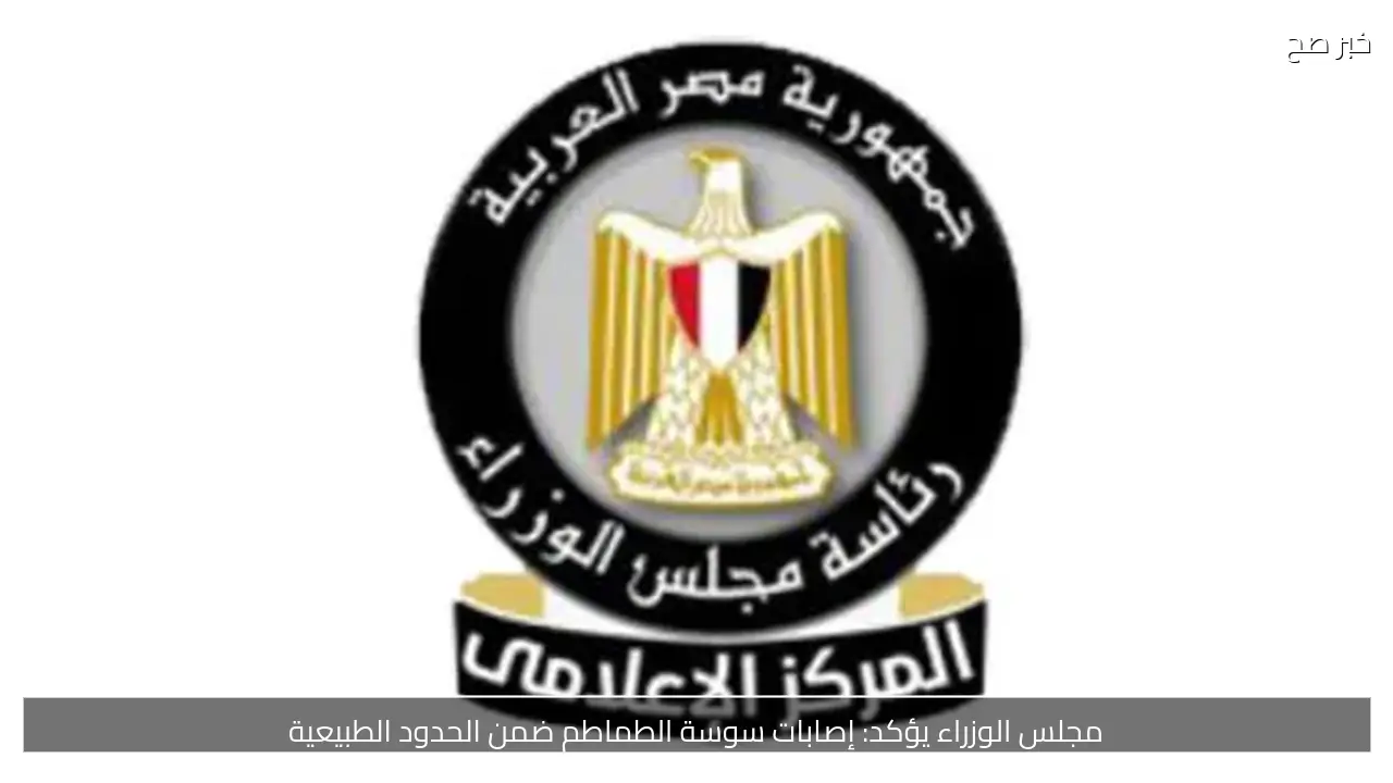 مجلس الوزراء يؤكد: إصابات سوسة الطماطم ضمن الحدود الطبيعية