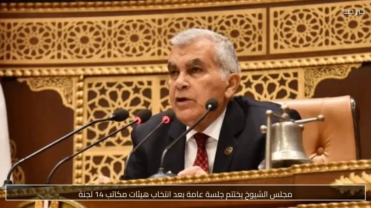 يوسف عامر يستمر رئيسًا للجنة الشئون الدينية بمجلس الشيوخ
