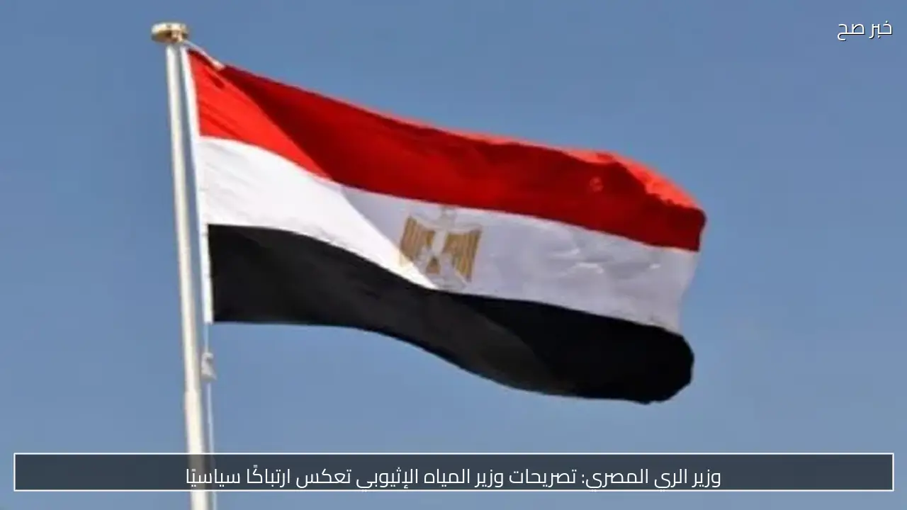 مصر تدين الهجوم على محطة كهرباء في المدينة المنورة