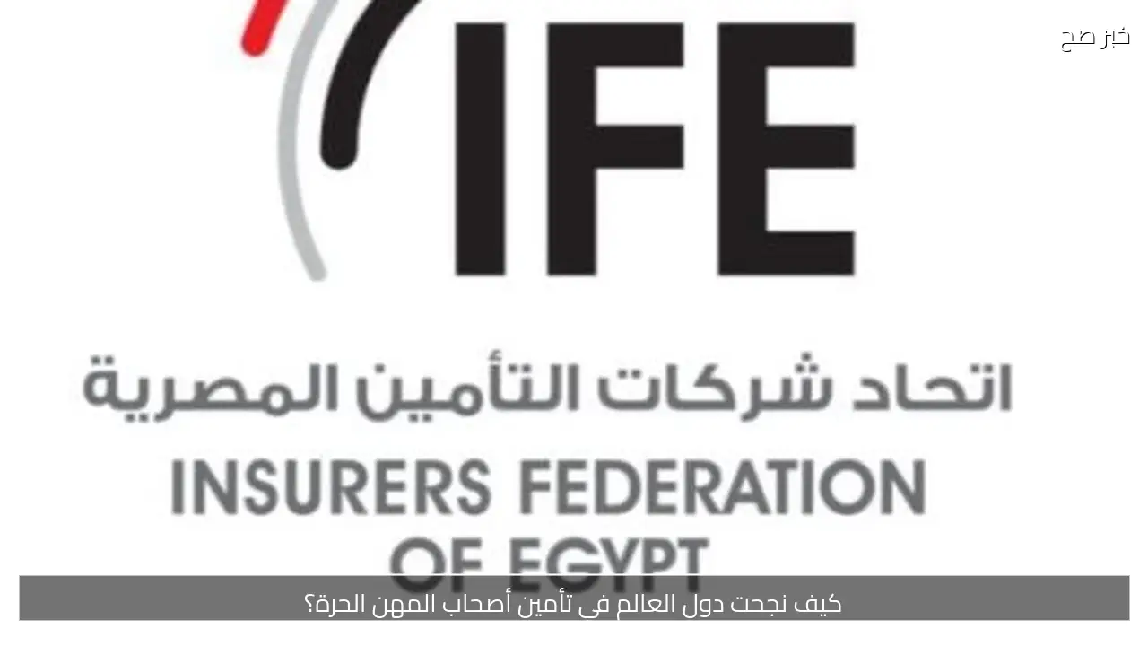 كيف نجحت دول العالم في تأمين أصحاب المهن الحرة؟
