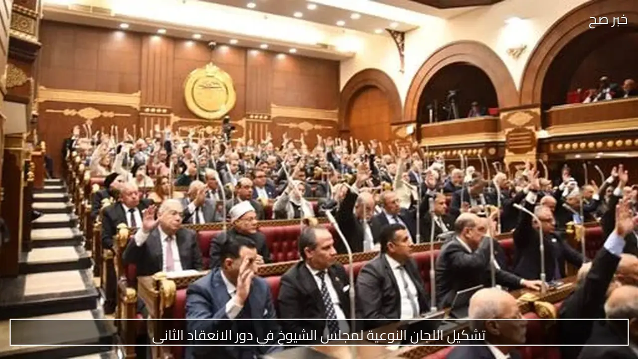 تشكيل اللجان النوعية لمجلس الشيوخ في دور الانعقاد الثاني