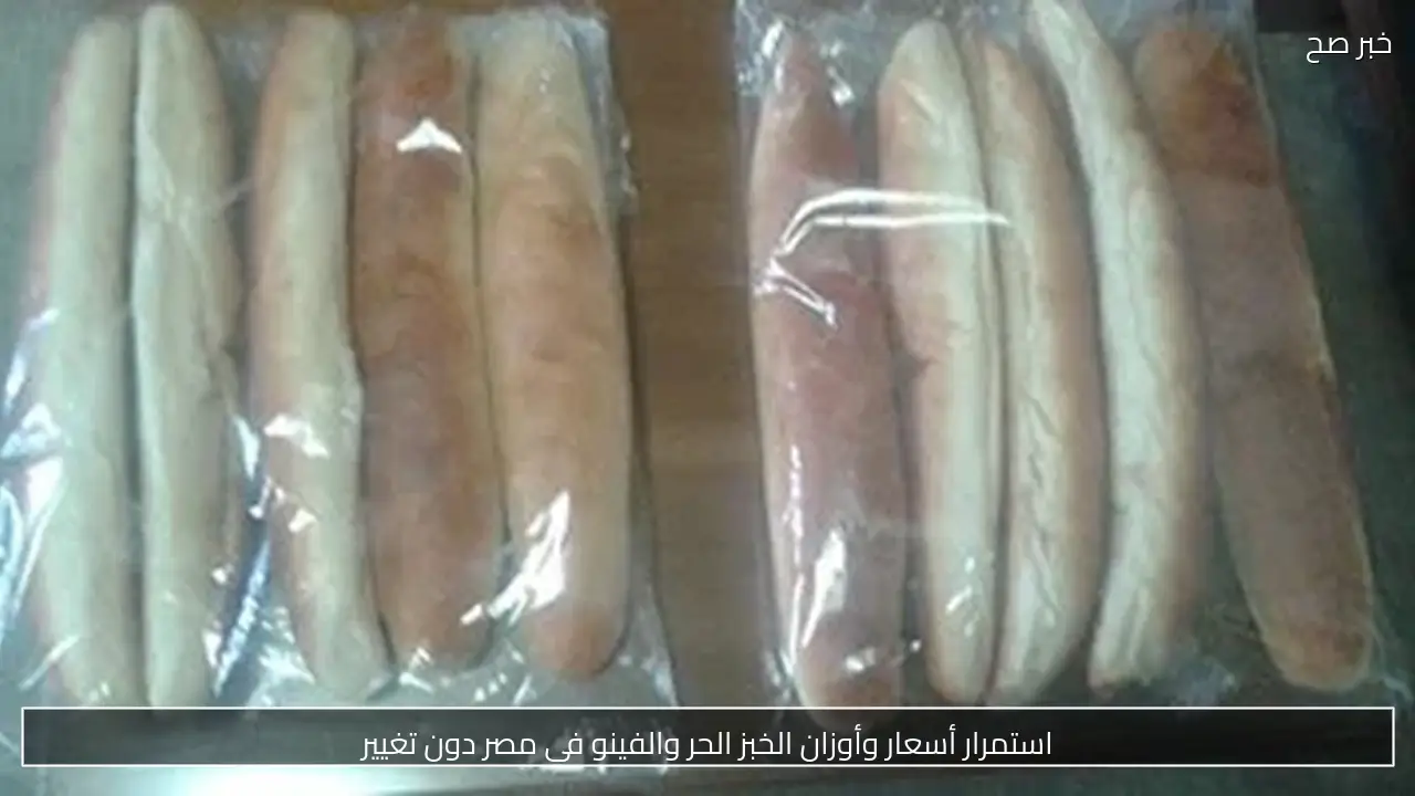 استمرار أسعار وأوزان الخبز الحر والفينو في مصر دون تغيير