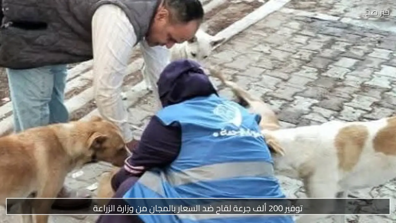 توفير 200 ألف جرعة لقاح ضد السعار بالمجان من وزارة الزراعة